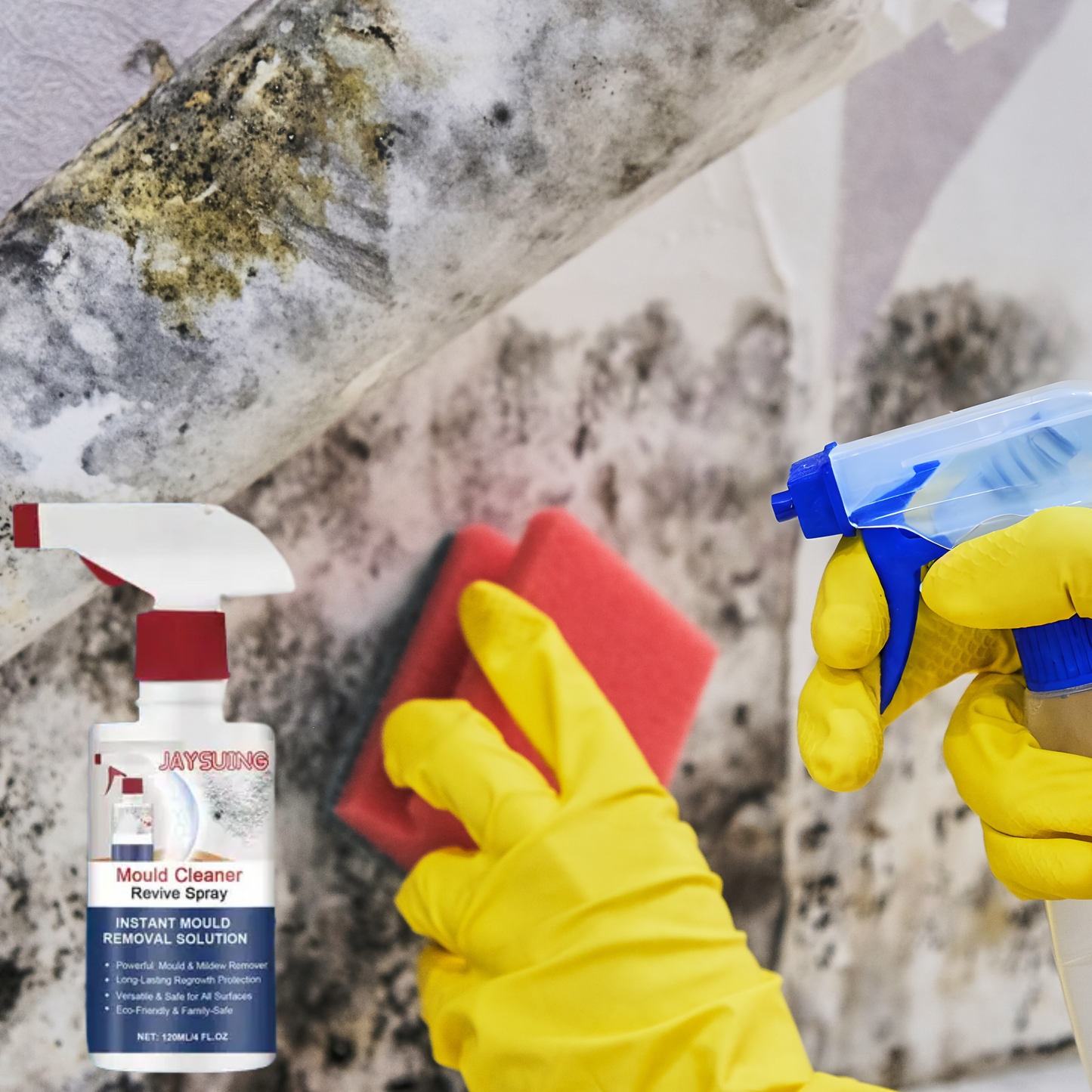 MoisiStop – Spray Anti-Moisissure Express