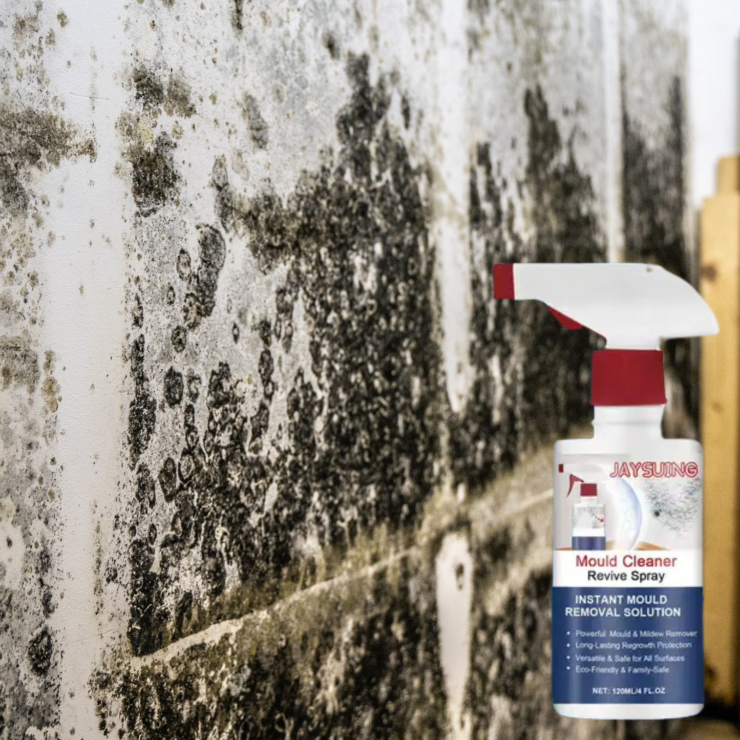 MoisiStop – Spray Anti-Moisissure Express