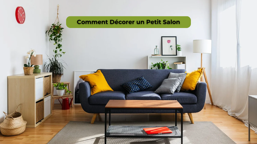 Comment Décorer un Petit Salon