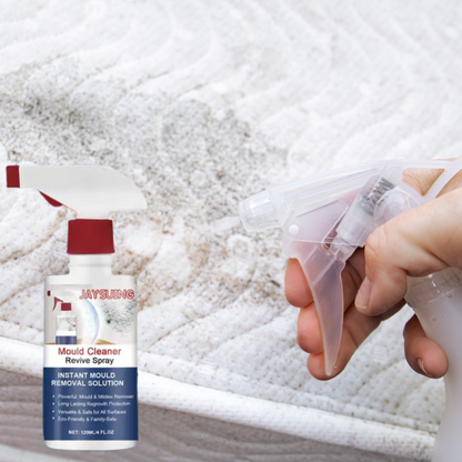 MoisiStop – Spray Anti-Moisissure Express