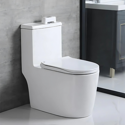 FlushSense – Bouton de chasse d’eau automatique sans contact