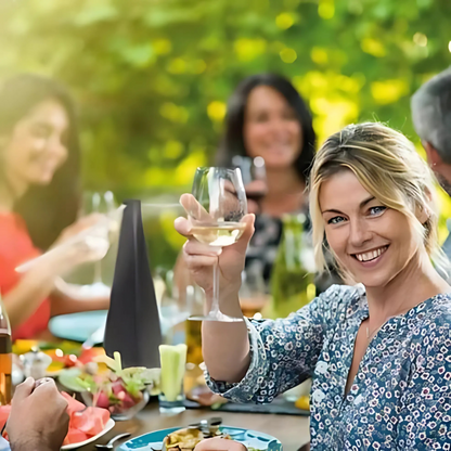 FlyGuard – Ventilateur Anti-Mouches Répulsif