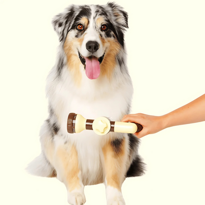 PetJet – Kit de Douche Portable pour Chiens
