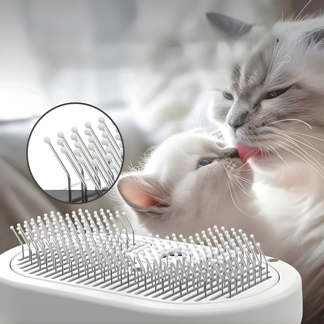 SteamPaw – Brosse Vapeur 3-en-1 pour un Toilettage Doux et Sain