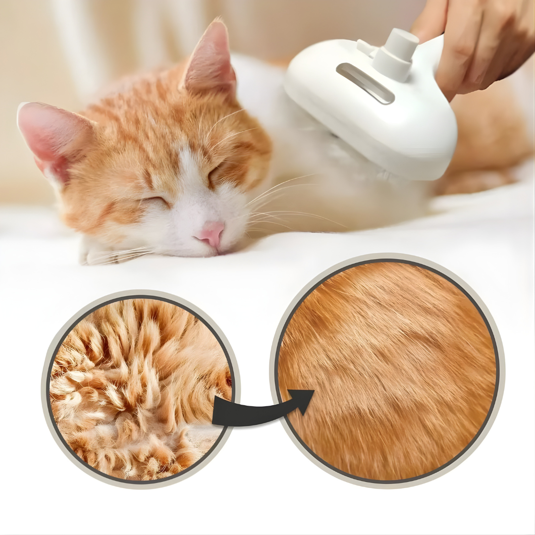 SteamPaw – Brosse Vapeur 3-en-1 pour un Toilettage Doux et Sain