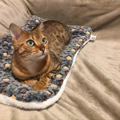 CozyPaw – Le Lit Apaisant et Douillet pour Chats