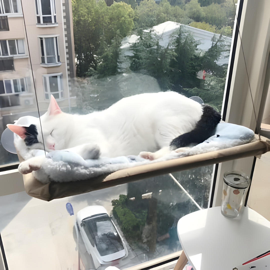 CozyPaw – Le Lit Apaisant et Douillet pour Chats