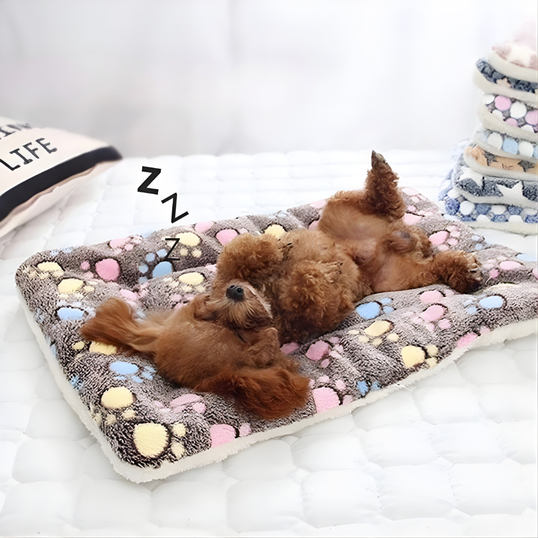 CozyPaw – Le Lit Apaisant et Douillet pour Chats