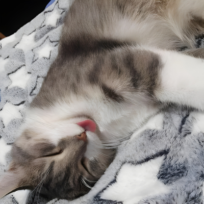 CozyPaw – Le Lit Apaisant et Douillet pour Chats