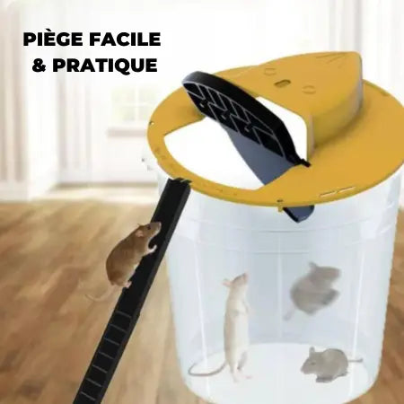 Flip & Slide - Mouse and Rat Trap