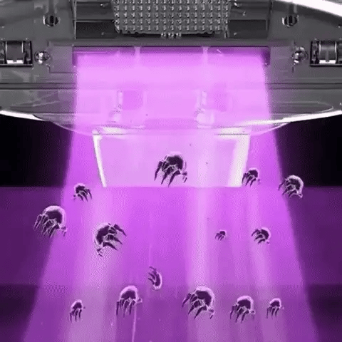 Pure-Lit Aspirateur - Aspirateur Anti-Acariens sans fil