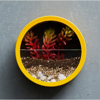 Pot de Fleurs Mural Élégant